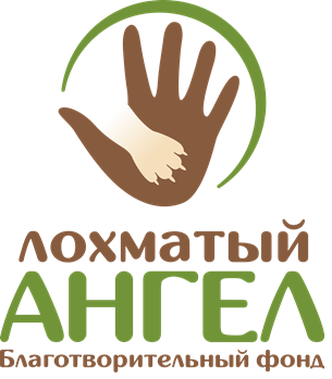 Благотворительный фонд помощи бездомным животным “Лохматый Ангел”