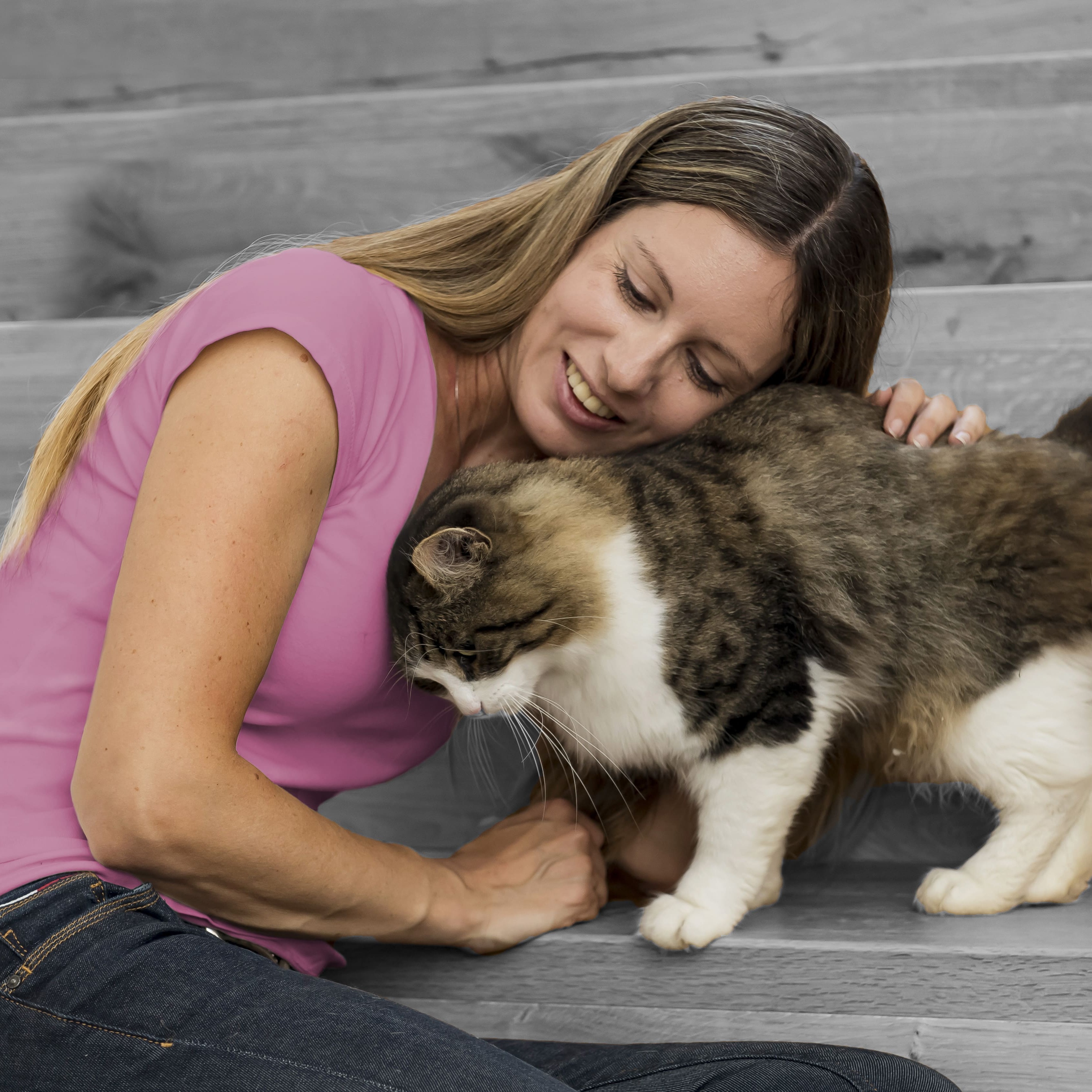 Как понять что кошка тебя любит | FriendForPet