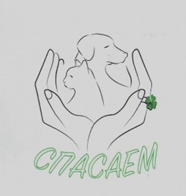 Спасаем