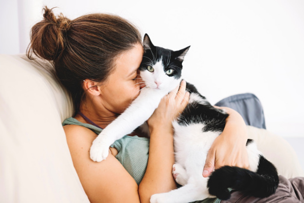 Как отучить кошку и котенка от вредных привычек — FriendForPet