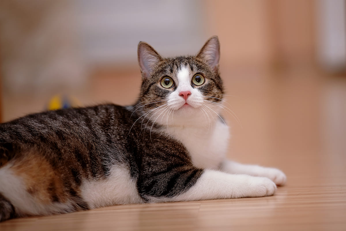 Изображение удалено.