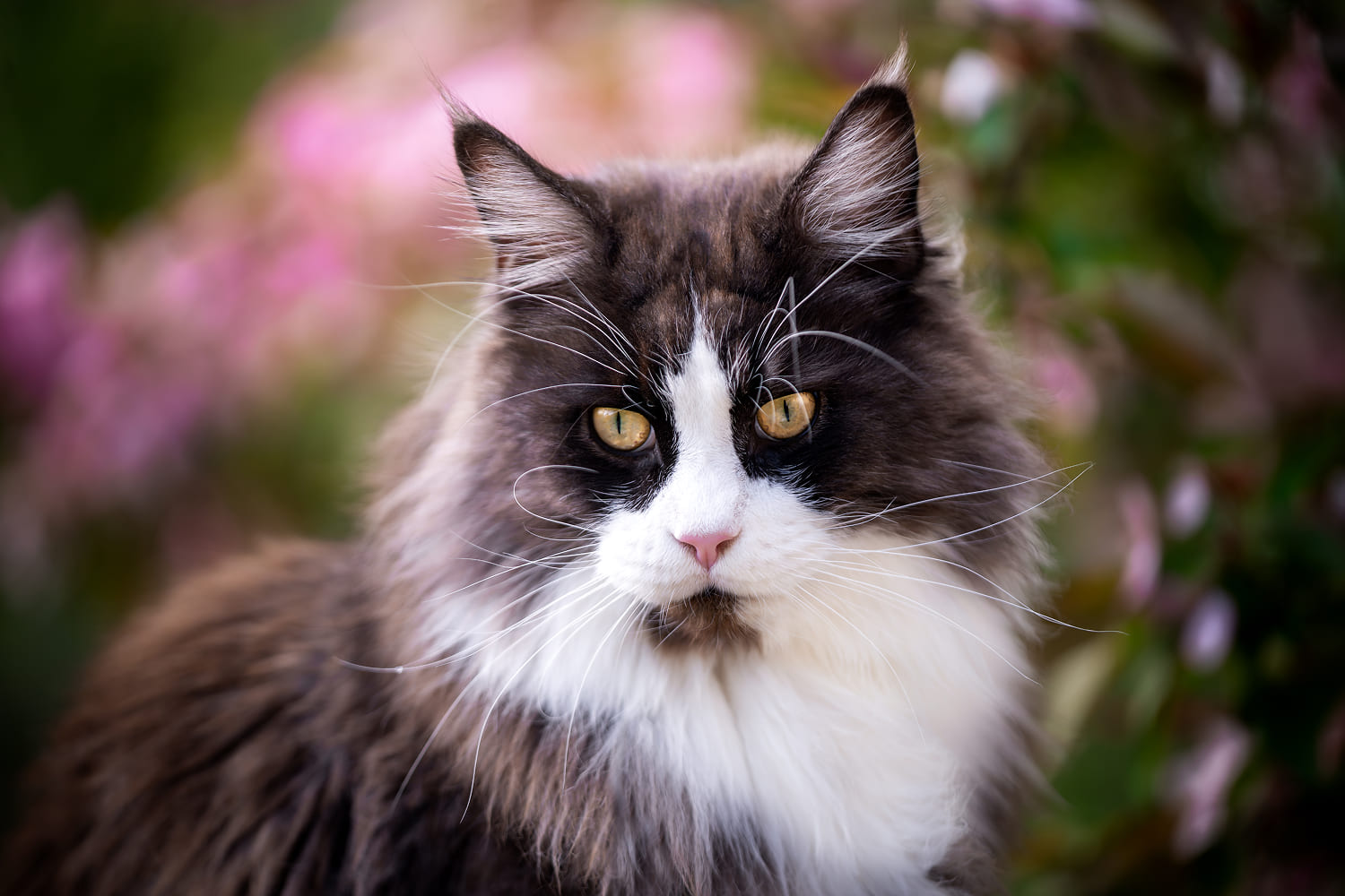 Изображение удалено.