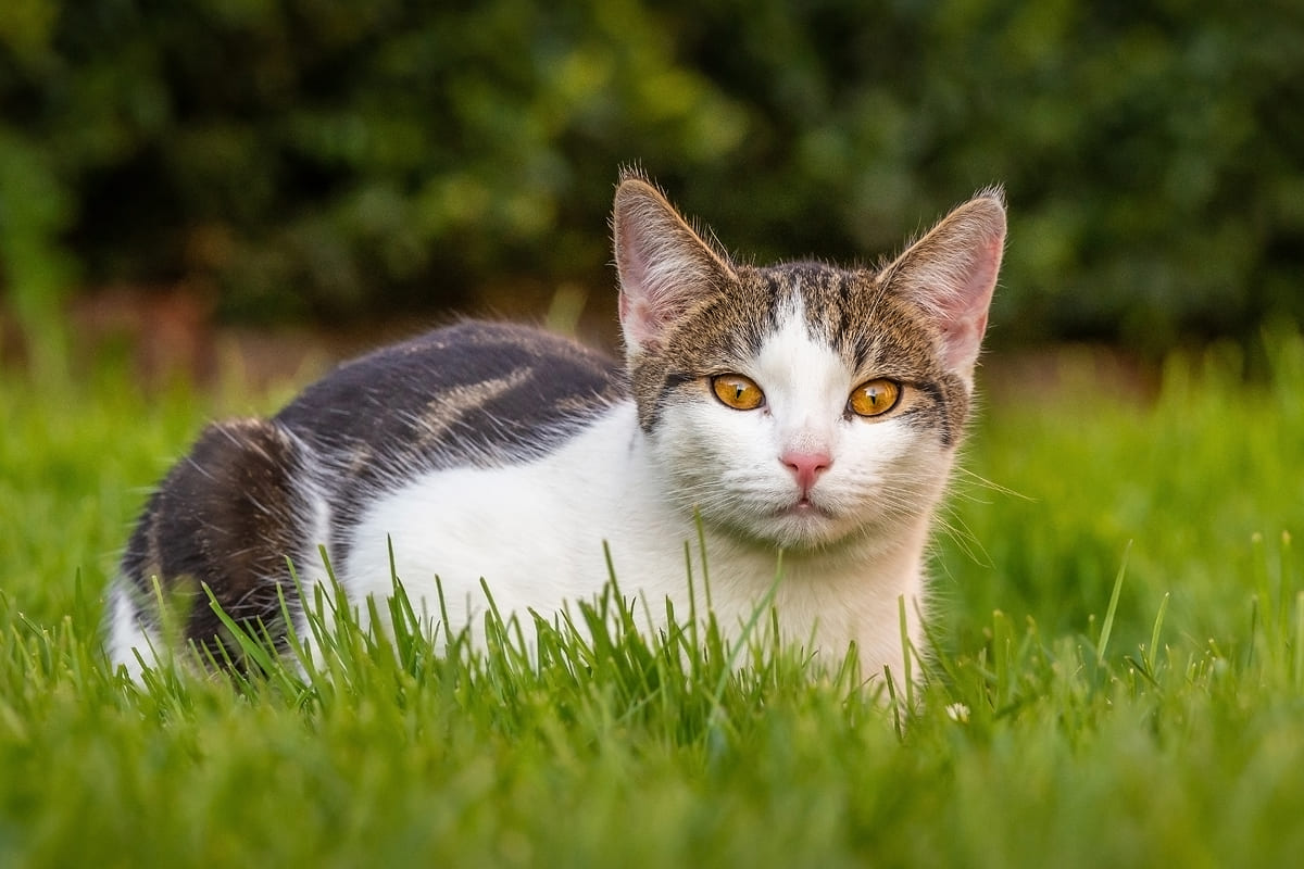 Изображение удалено.