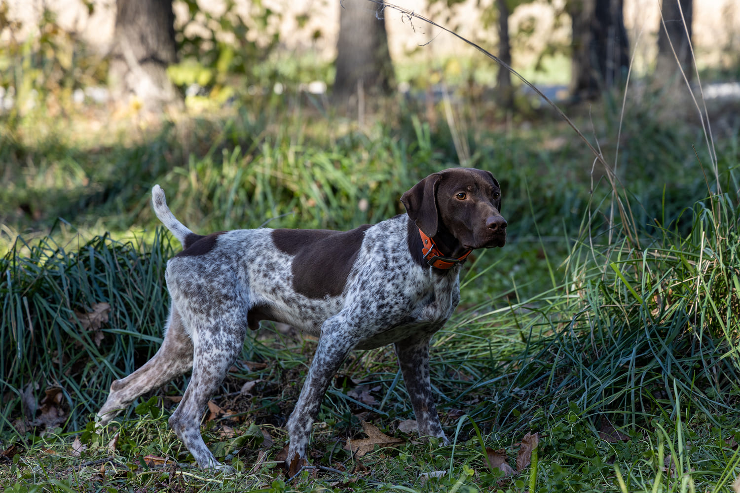 Изображение удалено.