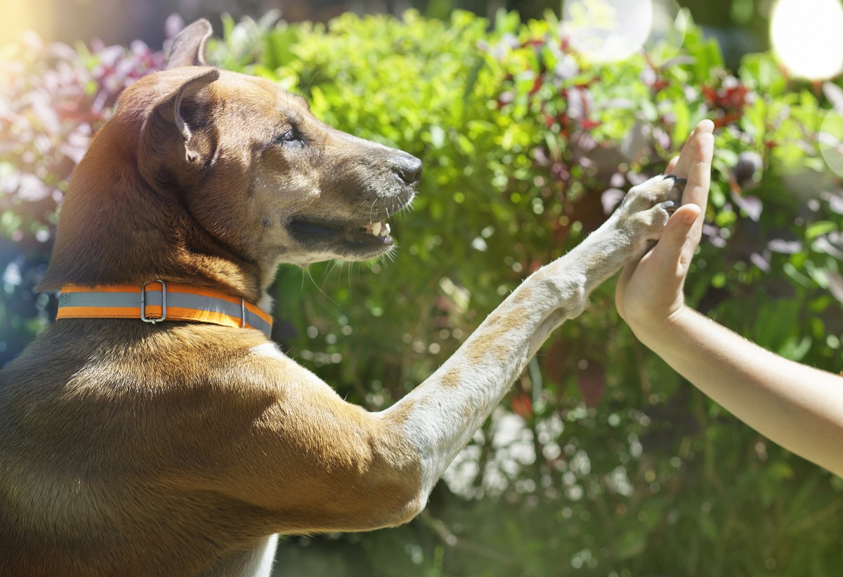 Изображение удалено.