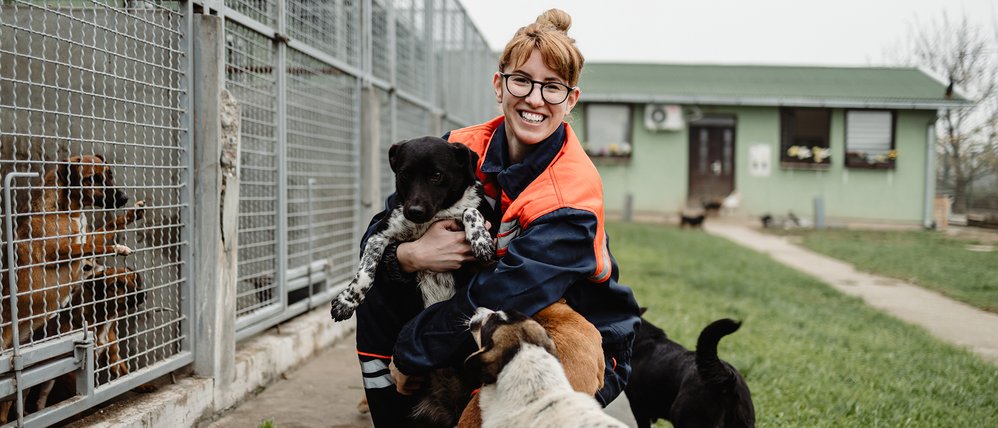 Муниципальные приюты для животных