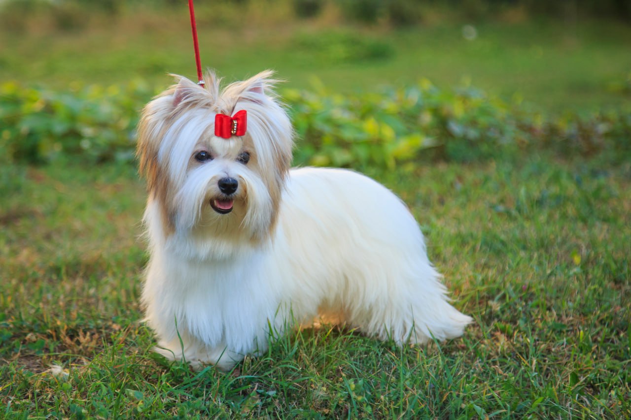 Изображение удалено.